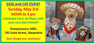 Donate adoptable pets all adoptable pets adoptable cats adoptable dogs adoption forms get involved get involved foster volunteer shop at thrift upcoming events about us contact join our mailing list meet our team nlol shop. Cinco De Mayo Cat And Dog Adoption Event May 3 Homeward Trails Animal Rescue Pet Adoption In Va Dc Md