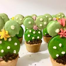 Plus, i've been dying for a reason to throw a cactus themed party, so it was a win win. Mybaker Co On Twitter Hosting A Cacti Themed Party We Ll Bring The Dessert And Desert Macarons Biscuits Cactus