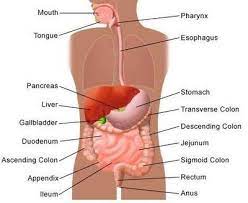 Check spelling or type a new query. Pin On Breathing