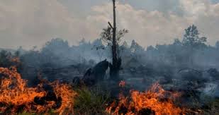 Dapat kita bayangkan bagaimana jadinya makhluk apabila tak terdapat udara, dengan begitu kita tidak mampu bernapas seperti mana seharusnya. Jerebu Serang Penduduk Miri