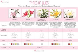 Maybe you would like to learn more about one of these? Types Of Lilies Flower Muse Blog Types Of Lilies Lily Wedding Invitations Flower Catalogs