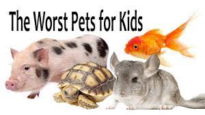 What is the best pet for a kid. The Worst Pets For Kids Youtube