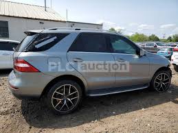 Image result for Selenite Gray 2015 ML