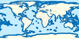 Up to 4 text messages per month. Exclusive Economic Zone Wikipedia