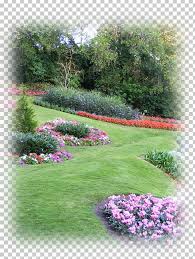Hedge Landscaping Gardening Sod Png Clipart Annual Plant Botanical Garden Flower Garden Gardening Free Png Download Arborvitae spruce hedge shrub tree, others, grass, spruce, garden. hedge landscaping gardening sod png