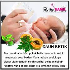 Keperluan vitamin untuk ibu yang menyusu badan adalah sesuatu yang ibu perlu beri perhatian. Baby Step Antara Tips Petua Untuk Tambah Susu Badan Facebook