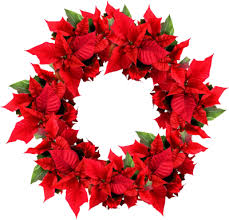 We did not find results for: Christmas Wreath Transparent Background Transparent Images Free Png Images Vector Psd Clipart Templates