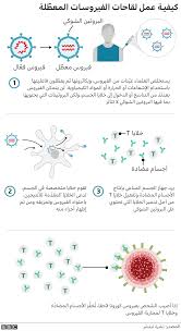It uses your body's natural defenses to build resistance to specific. Ù„Ù‚Ø§Ø­ ÙÙŠØ±ÙˆØ³ ÙƒÙˆØ±ÙˆÙ†Ø§ Ù…Ø§ Ù…Ø¯Ù‰ ÙØ¹Ø§Ù„ÙŠØ© Ù„Ù‚Ø§Ø­ÙŠ Ø³ÙŠÙ†ÙˆÙØ§Ùƒ ÙˆØ³ÙŠÙ†ÙˆÙØ§Ø±Ù… Ø§Ù„ØµÙŠÙ†ÙŠÙŠÙ† Bbc News Ø¹Ø±Ø¨ÙŠ