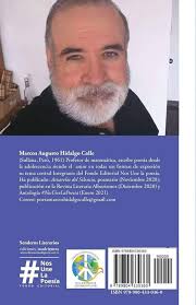 HILVANANDO SUEÑOS : HIDALGO CALLE, MARCOS AUGUSTO: Amazon.de: Books