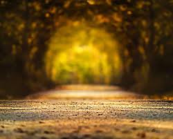 See hd background stock video clips. Ambiguous Cool Photoshop Actions Indoor Photoshopartwork Photographyphotoshopphotoeditingphoto Best Background Images Picsart Background Background Images Hd
