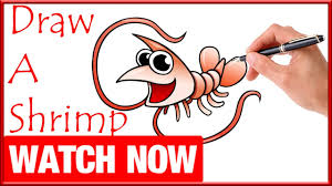 If you like it, follow these steps to try it out! How To Draw A Shrimp Cartoon