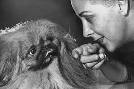 Venable Wall Art for Sale