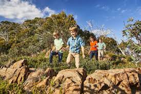 Why rent a single room when you could have the whole house? Mt Buller Summer At Mt Buller
