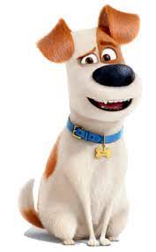 Max The Secret Life Of Pets Heroes Wiki Fandom Powered By Wikia Fotos De Animais Fofos Minions Papeis De Parede Fotos De Animais