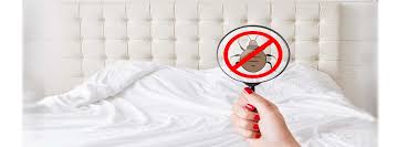 On long island our lawns can stay green until pretty late in the calendar year keep you lawn looking healthy and prepare it for the harsh winter conditions with our fall fartilizing program. Pest Control Long Island Exterminator Long Island Ny Pest Control For Rodent Infestations Bed Bugs Roaches Spider Fleas Ticks And More