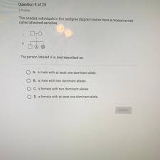 Dominant and recessive alleles are two terms that are described in the mendelian genetics. O A A Male With At Least One Dominant Allele O B A Male With Two Dominant Alleles O C A Female Brainly Com