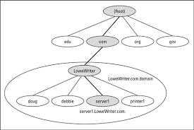 Network Administration Domains And Domain Names Dummies