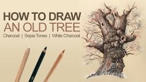 Apr 12, 2010 · draw trees using a charcoal pencil. How To Draw Trees