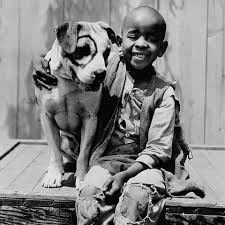 Last dog (2018) free full movie with english subtitle. 40 Famous Movie Dogs We Wish Were Our Pets