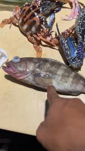 PAGKATAPOS NG TRAINING MATIK KAINAN MAG-LUTO TAYO NG MASATAP NA SABAW