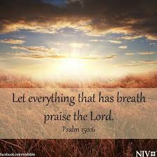 Let Everything That Has Breath Praise The Lord Bible Verse Pin On Lcumc Ideas