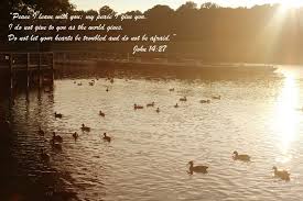 Pin On Quotes To Live By
