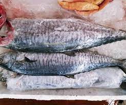 Meningkatkan kesehatan kardiometabolik pada anak. Jenis Dan Harga Ikan Tenggiri Terbaru Juni 2021 Suka Ikan