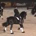 Canada bails on 2018 World Equestrian Games; Lexington next, eh?