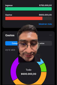 Tutorial express de cómo usar una app de gastos para que no llegues tan  corto a fin de mes.