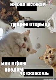 И видите, открыли же не только турцию, открыли и другие страны. Mem Natash Vstavaj Turciyu Otkryli Ili V Feyu Poedem Che Skazhesh Vse Shablony Meme Arsenal Com