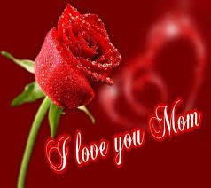 I Love You Mom Love Rose Valentines For Mom Popular Flowers