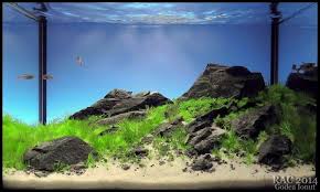 Pin On Things I Like