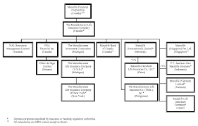 Cigna Organizational Chart 2019