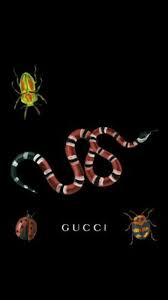 Red snake wallpaper, wallpaper removable, removable, gucci. Gucci Snake Wallpapers Wallpaper Cave