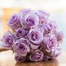 We did not find results for: Showing The Glory Of Spring With Lovely Pastel Flowers Mancuso S Florist Blog