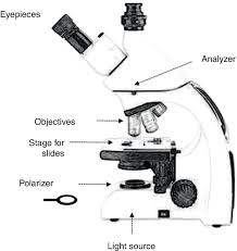Image result for Polarized Microscopy