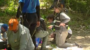 A planned and coordinated search for answers is underway in a wooded area  of Memphis' Hickory Hill neighborhood, where police say the skeletal  remains of three young children were discovered between March