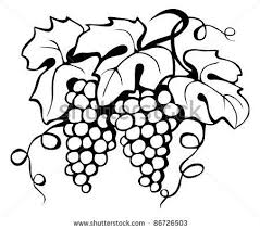 Black And White Vines Vector Black Drawing Of Grape And Leaves Vector 86726503 Shutterstock Vine Drawing Leaf Drawing Drawings