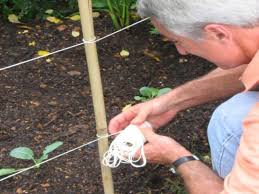 Vegetables in the same family will attract the same. How To Build A Simple Fence Around A Vegetable Garden How Tos Diy