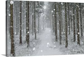 Find landscapers in your zip code fast! Winter Landscape Black Forest Baden Wurttemberg Germany Wall Art Canvas Prints Framed Prints Wall Peels Great Big Canvas