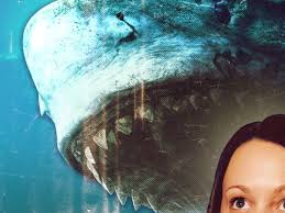 A meg langslow mystery (30 books) by donna andrews. An Enthusiastic Fact Check Of All The Shark Activities In The Meg The Ringer