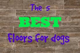 What S The Best Flooring For Dogs Flooring Inc Dog Flooring Best Flooring Best Floors For Dogs