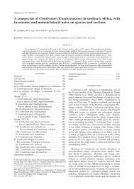 Image result for Combretum oxystachyum