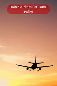 United Airlines Pet Policy Pet Travel United Airlines Travel