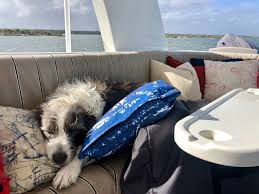 Chasing The Space Coast