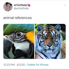 Animal References Cred Artist Reference Animals