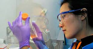 To breed yourself in a lab, 50 years young