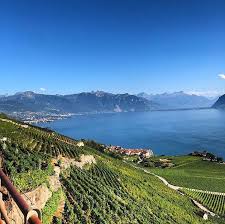 restaurant du nord home chexbres switzerland menu prices restaurant reviews facebook