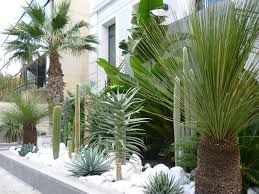 Pieri Jardins Creation Jardin Contemporain Amenagement De Jardins Var Sanary Six Fours Ban Creation Jardin Amenagement Jardin Decoration Jardin Exterieur