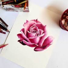 44 Trendy Flowers Art Gcse Colored Pencils Roses Drawing Flower Art Color Pencil Art